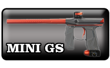 Mini GS